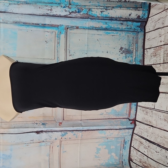 Blanc Black Strapless Bodycon Dress - Picture 1 of 6